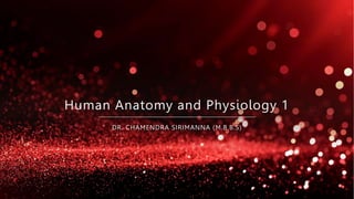 Human Anatomy and Physiology 1
DR. CHAMENDRA SIRIMANNA (M.B.B.S)
 