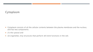 Human Anatomy and Physiology 1 - Chapter 2.pptx