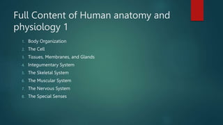 Human Anatomy and Physiology 1 - Chapter 6.pptx