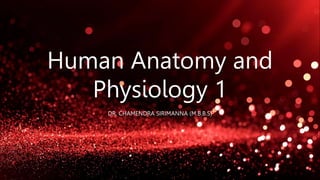 Human Anatomy and
Physiology 1
DR. CHAMENDRA SIRIMANNA (M.B.B.S)
 