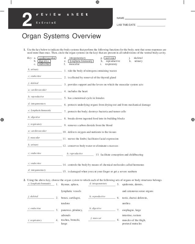 Answers To Holes Lab Manual