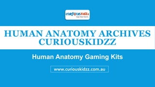 HUMAN ANATOMY ARCHIVES
CURIOUSKIDZZ
Human Anatomy Gaming Kits
www.curiouskidzz.com.au
 