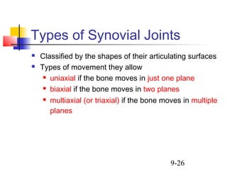 Human anatomy articulations | PPT