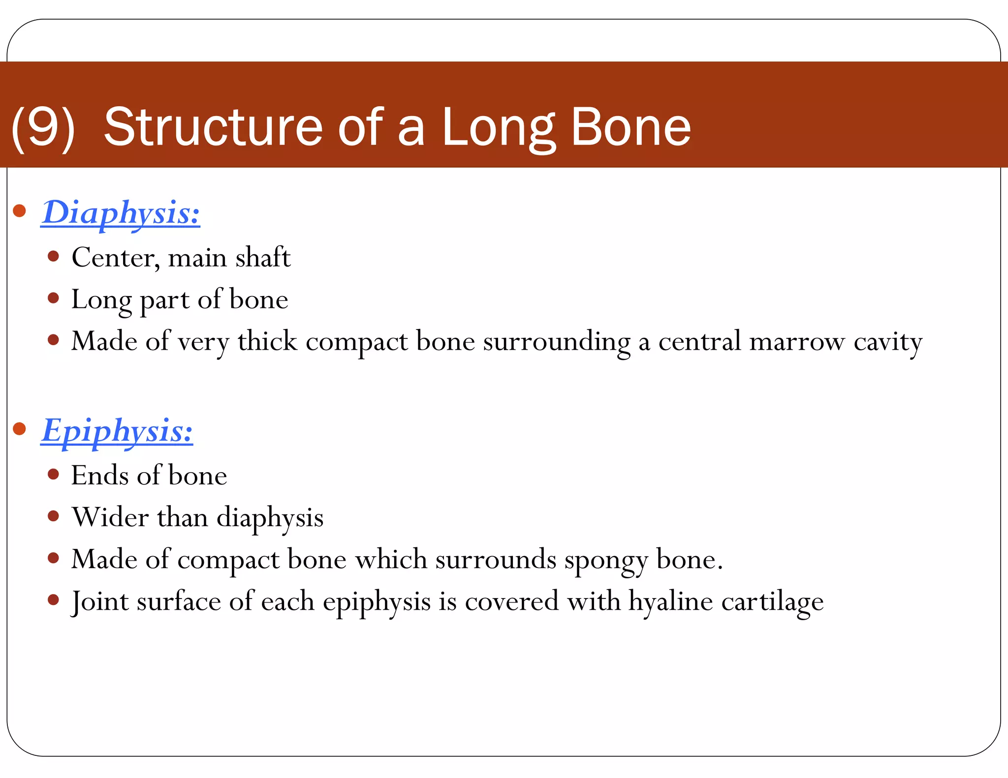 (9) Structure of a Long Bone
 Diaphysis:
 Center, main shaft
 Long part of bone
 Made of very thick compact bone surrounding a central marrow cavity
 Epiphysis:
 Ends of bone
 Wider than diaphysis
 Made of compact bone which surrounds spongy bone.
 Joint surface of each epiphysis is covered with hyaline cartilage
 