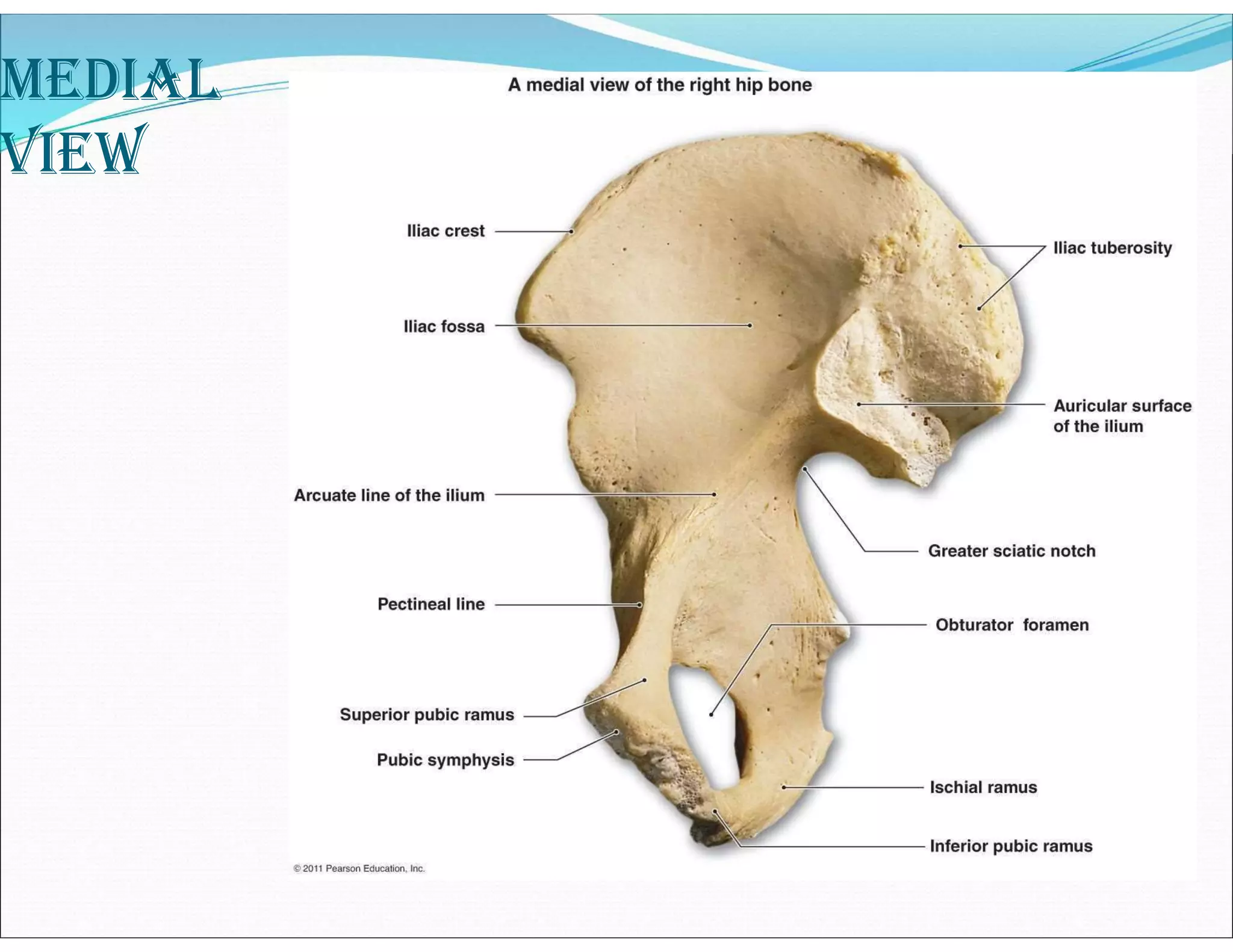 meDiAl
view
 