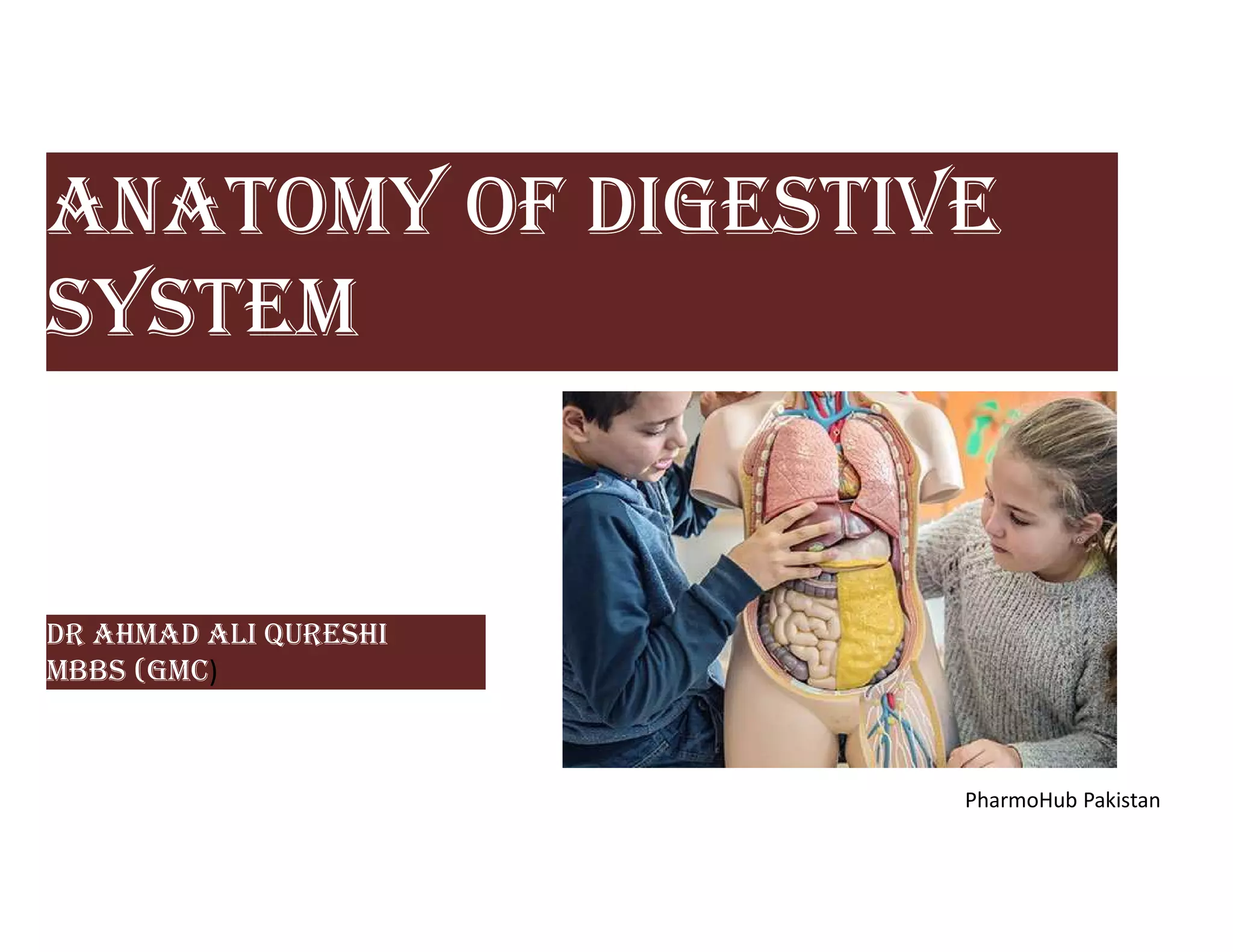 AnAtomy of DIGEStIVE
SyStEm
Dr AhmAD AlI QurEShI
mBBS (GmC)
PharmoHub Pakistan
 