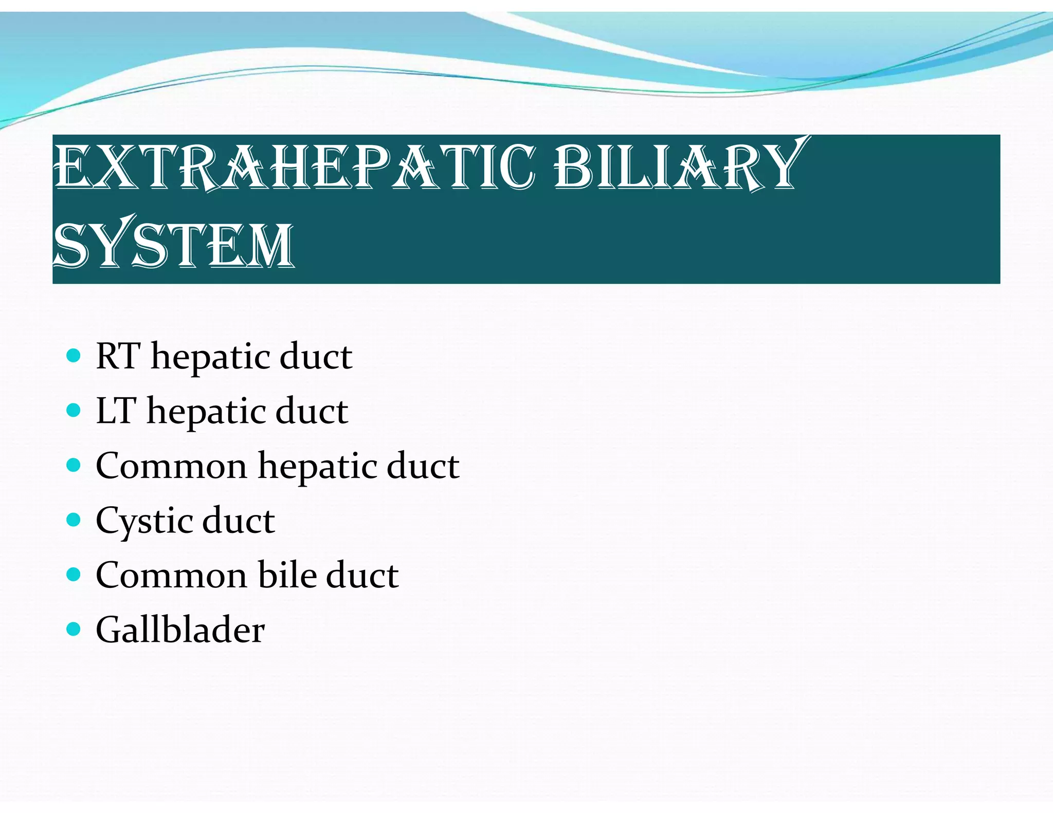 EXTRAHEPATIC BILIARY
SYSTEM
 RT hepatic duct
 LT hepatic duct
 Common hepatic duct
 Cystic duct
 Common bile duct
 Gallblader
 