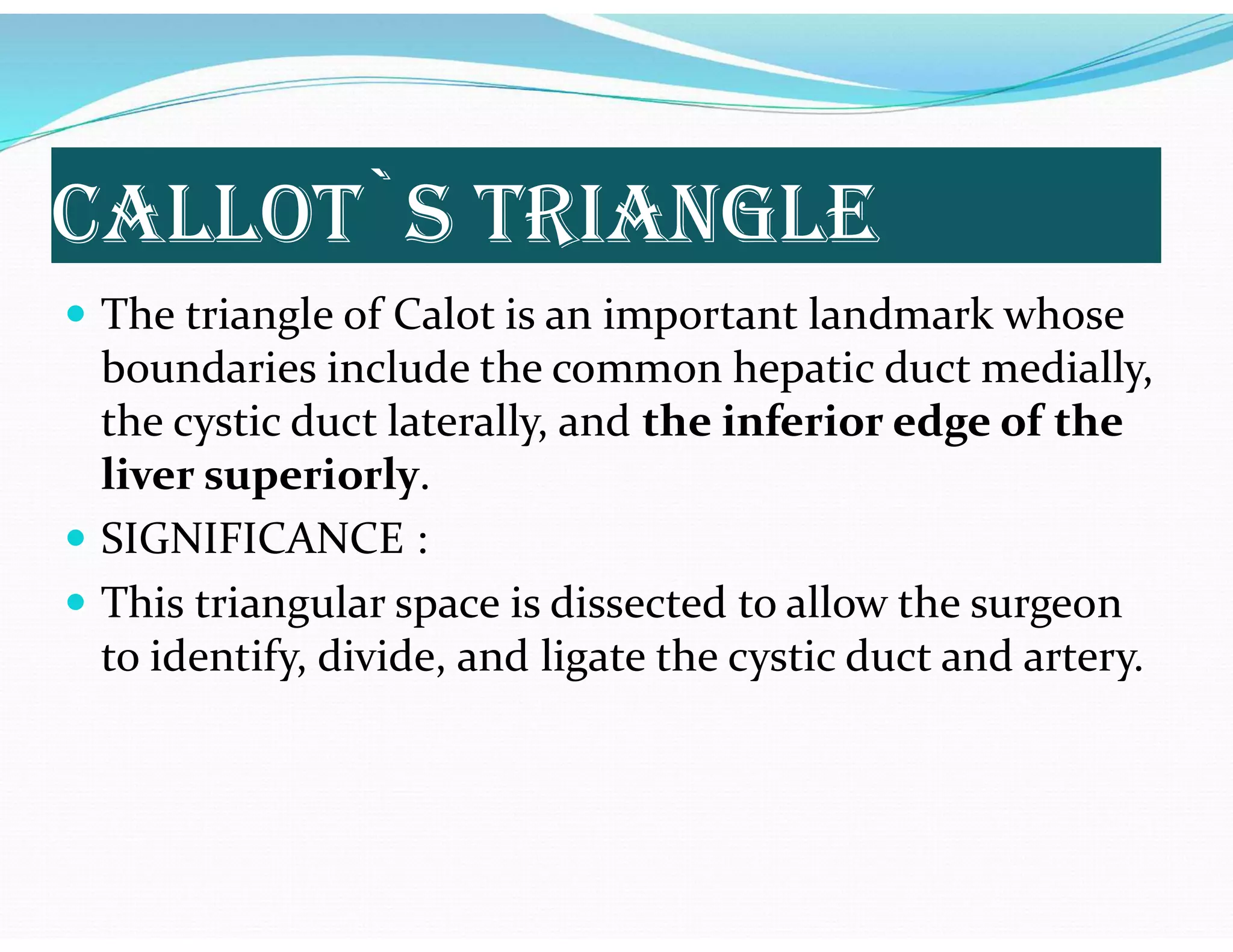 CALLOT`S TRIANGLE
 The triangle of Calot is an important landmark whose
boundaries include the common hepatic duct medially,
the cystic duct laterally, and the inferior edge of the
liver superiorly.
 SIGNIFICANCE :
 This triangular space is dissected to allow the surgeon
to identify, divide, and ligate the cystic duct and artery.
 