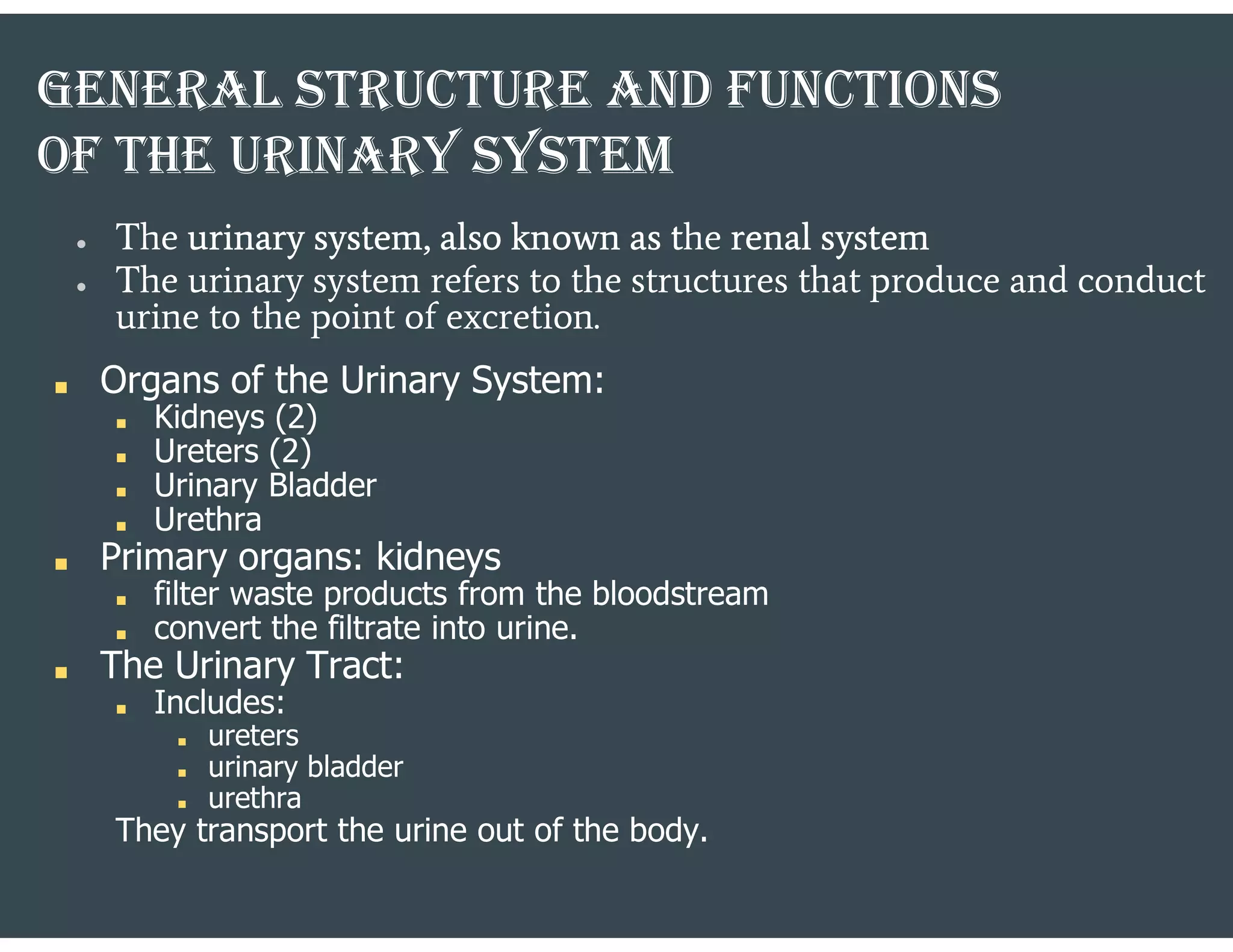 GENERAl STRUCTURE AND FUNCTIoNS
oF ThE URINARY SYSTEM
● The urinary system, also known as the renal system
● The urinary system refers to the structures that produce and conduct
urine to the point of excretion.
■ Organs of the Urinary System:
■ Kidneys (2)
■ Ureters (2)
■ Urinary Bladder
■ Urethra
■ Primary organs: kidneys
■ filter waste products from the bloodstream
■ convert the filtrate into urine.
■ The Urinary Tract:
■ Includes:
■ ureters
■ urinary bladder
■ urethra
They transport the urine out of the body.
 