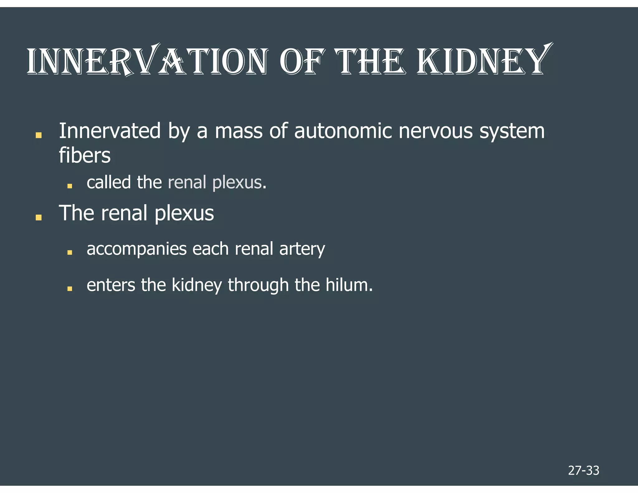 27-33
INNERvATIoN oF ThE KIDNEY
■ Innervated by a mass of autonomic nervous system
fibers
■ called the renal plexus.
■ The renal plexus
■ accompanies each renal artery
■ enters the kidney through the hilum.
 