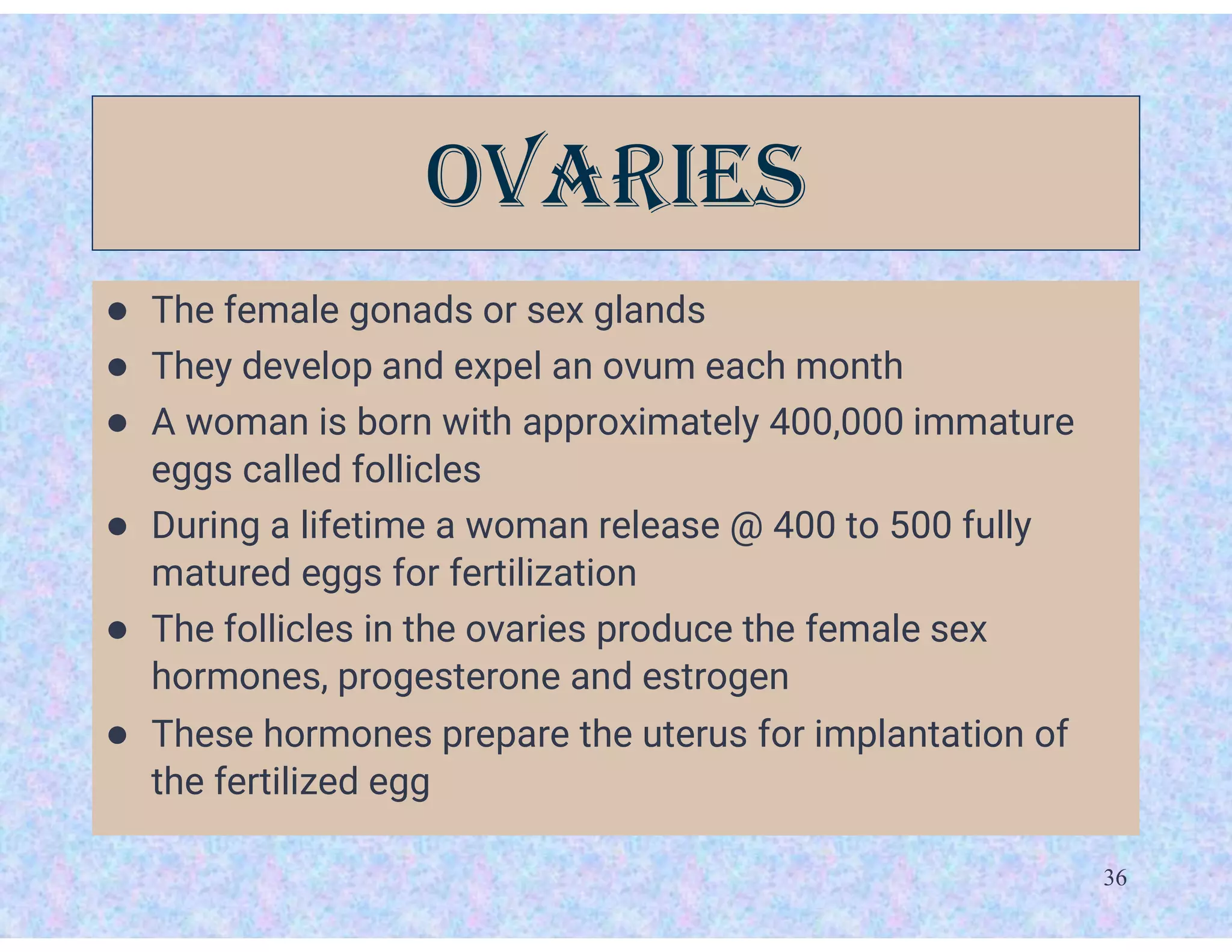 36
OvARIES
● The female gonads or sex glands
● They develop and expel an ovum each month
● A woman is born with approximately 400,000 immature
eggs called follicles
● During a lifetime a woman release @ 400 to 500 fully
matured eggs for fertilization
● The follicles in the ovaries produce the female sex
hormones, progesterone and estrogen
● These hormones prepare the uterus for implantation of
the fertilized egg
 