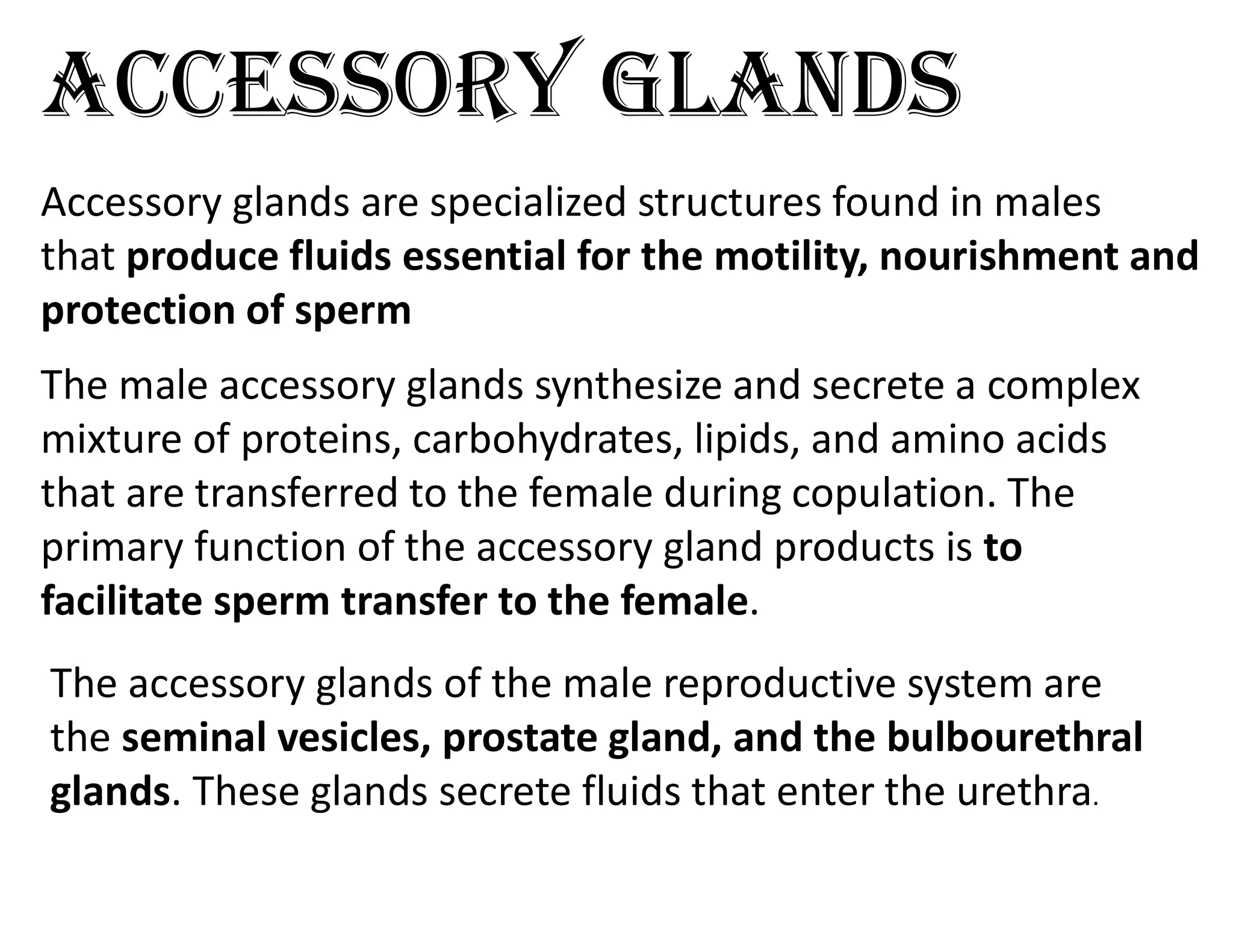 acceSSoRy GlandS
The male accessory glands synthesize and secrete a complex
mixture of proteins, carbohydrates, lipids, and amino acids
that are transferred to the female during copulation. The
primary function of the accessory gland products is to
facilitate sperm transfer to the female.
Accessory glands are specialized structures found in males
that produce fluids essential for the motility, nourishment and
protection of sperm
The accessory glands of the male reproductive system are
the seminal vesicles, prostate gland, and the bulbourethral
glands. These glands secrete fluids that enter the urethra.
 