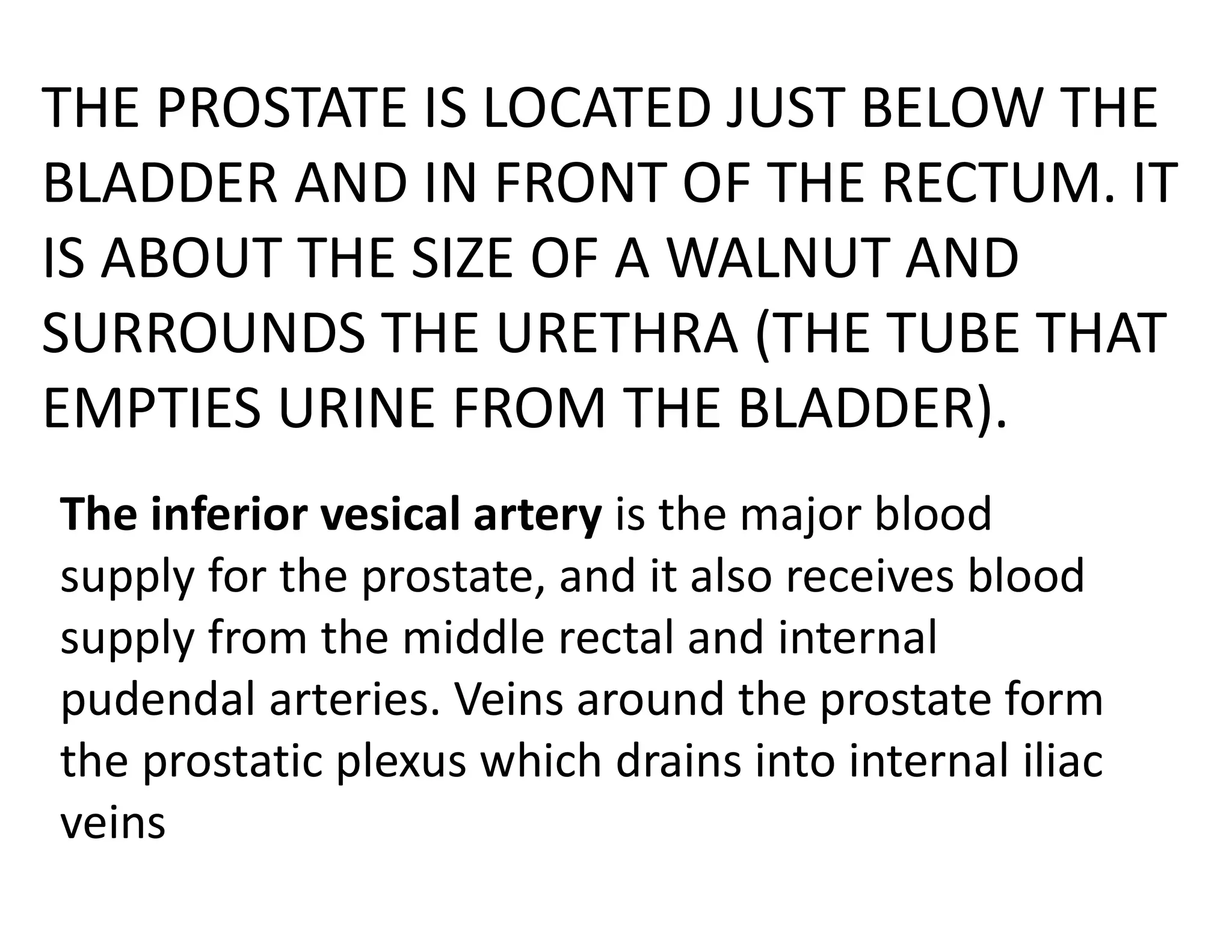 THE PROSTATE IS LOCATED JUST BELOW THE
BLADDER AND IN FRONT OF THE RECTUM. IT
IS ABOUT THE SIZE OF A WALNUT AND
SURROUNDS THE URETHRA (THE TUBE THAT
EMPTIES URINE FROM THE BLADDER).
The inferior vesical artery is the major blood
supply for the prostate, and it also receives blood
supply from the middle rectal and internal
pudendal arteries. Veins around the prostate form
the prostatic plexus which drains into internal iliac
veins
 