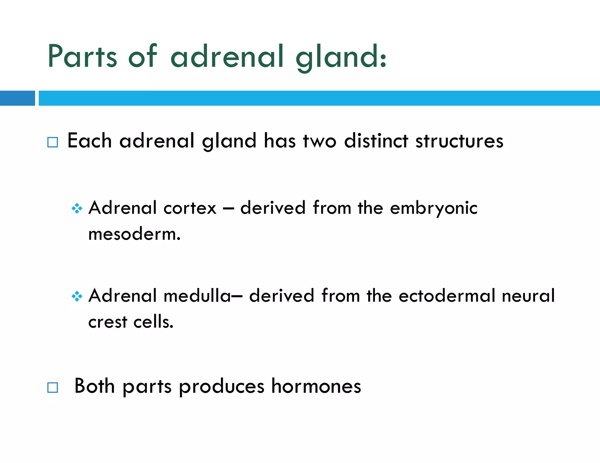 Parts of adrenal gland:
 Each adrenal gland has two distinct structures
 Adrenal cortex – derived from the embryonic
mesoderm.
 Adrenal medulla– derived from the ectodermal neural
crest cells.
 Both parts produces hormones
 