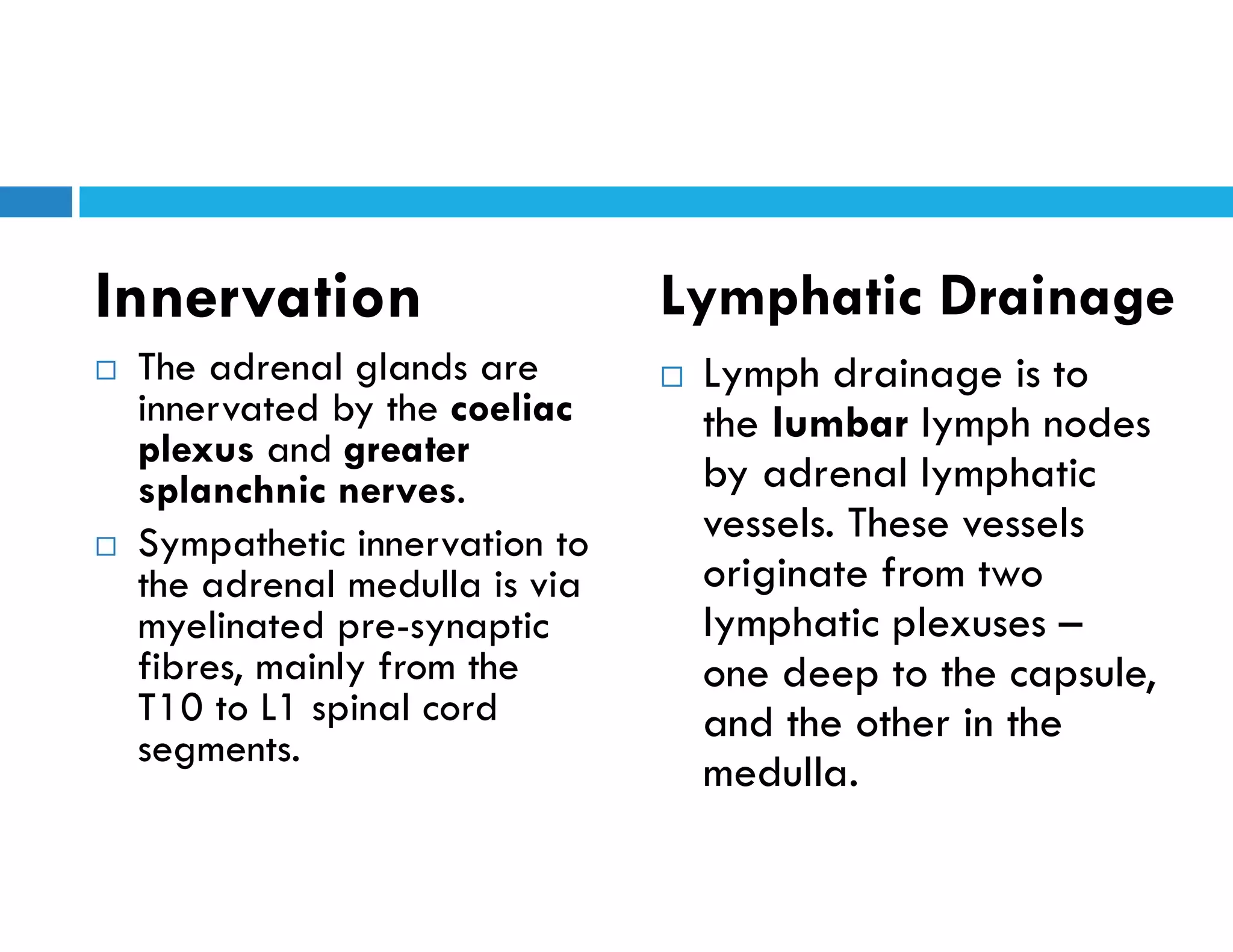  The adrenal glands are
innervated by the coeliac
plexus and greater
splanchnic nerves.
 Sympathetic innervation to
the adrenal medulla is via
myelinated pre-synaptic
fibres, mainly from the
T10 to L1 spinal cord
segments.
 Lymph drainage is to
the lumbar lymph nodes
by adrenal lymphatic
vessels. These vessels
originate from two
lymphatic plexuses –
one deep to the capsule,
and the other in the
medulla.
Innervation Lymphatic Drainage
 
