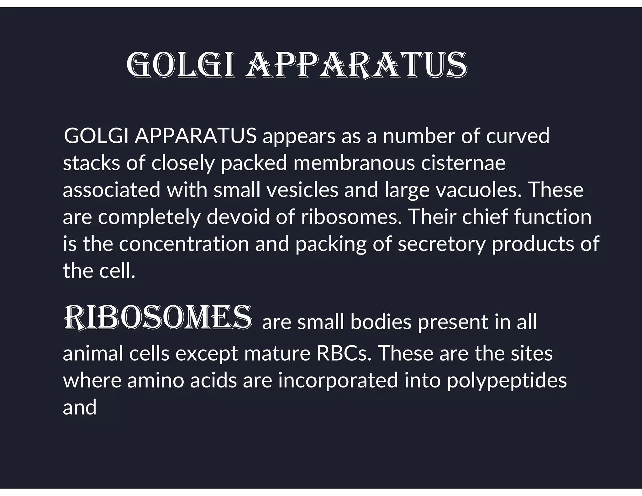 GOLGI APPARATUS
● GOLGI APPARATUS appears as a number of curved
stacks of closely packed membranous cisternae
associated with small vesicles and large vacuoles. These
are completely devoid of ribosomes. Their chief function
is the concentration and packing of secretory products of
the cell.
● RIbOSOmES are small bodies present in all
animal cells except mature RBCs. These are the sites
where amino acids are incorporated into polypeptides
and
 