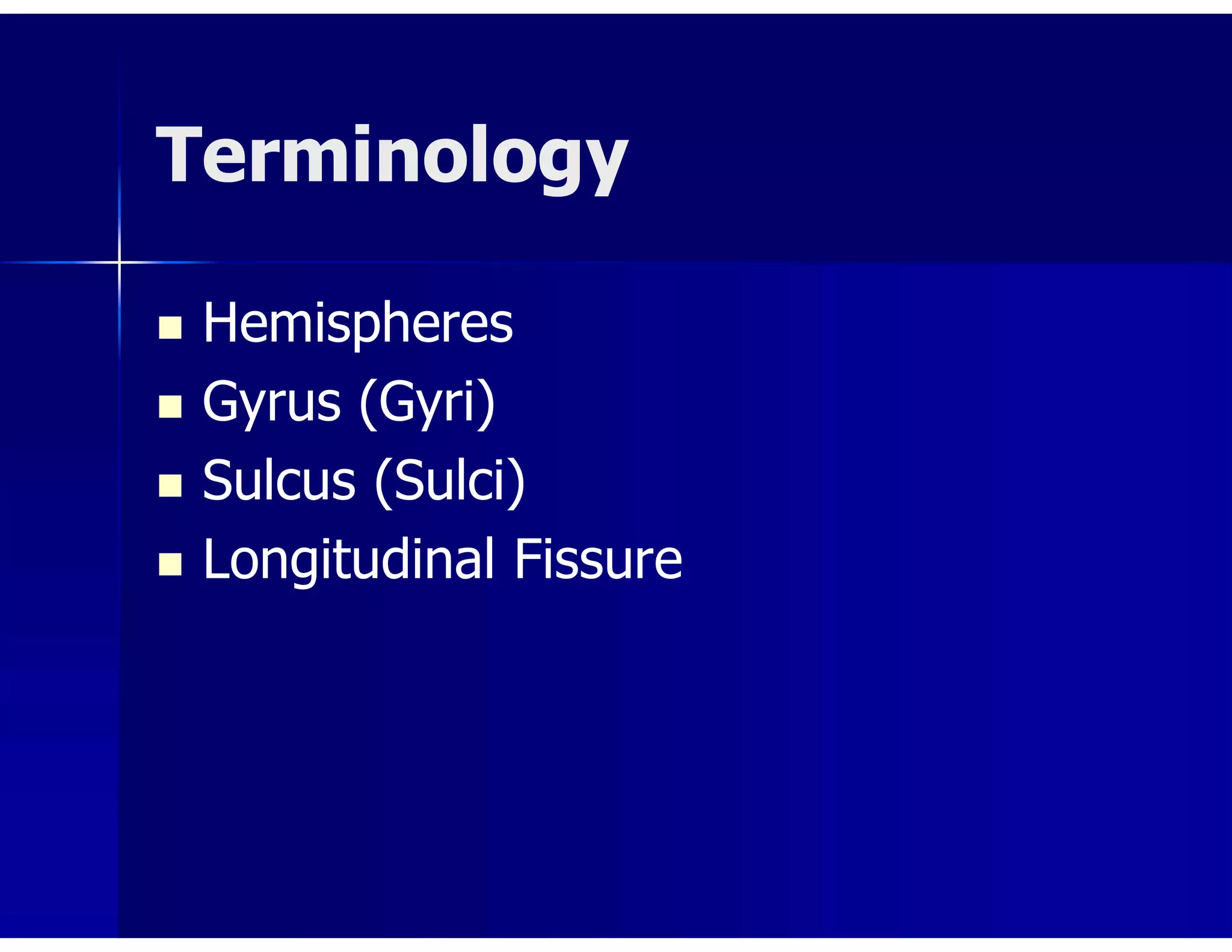 Terminology
 Hemispheres
 Gyrus (Gyri)
 Sulcus (Sulci)
 Longitudinal Fissure
 