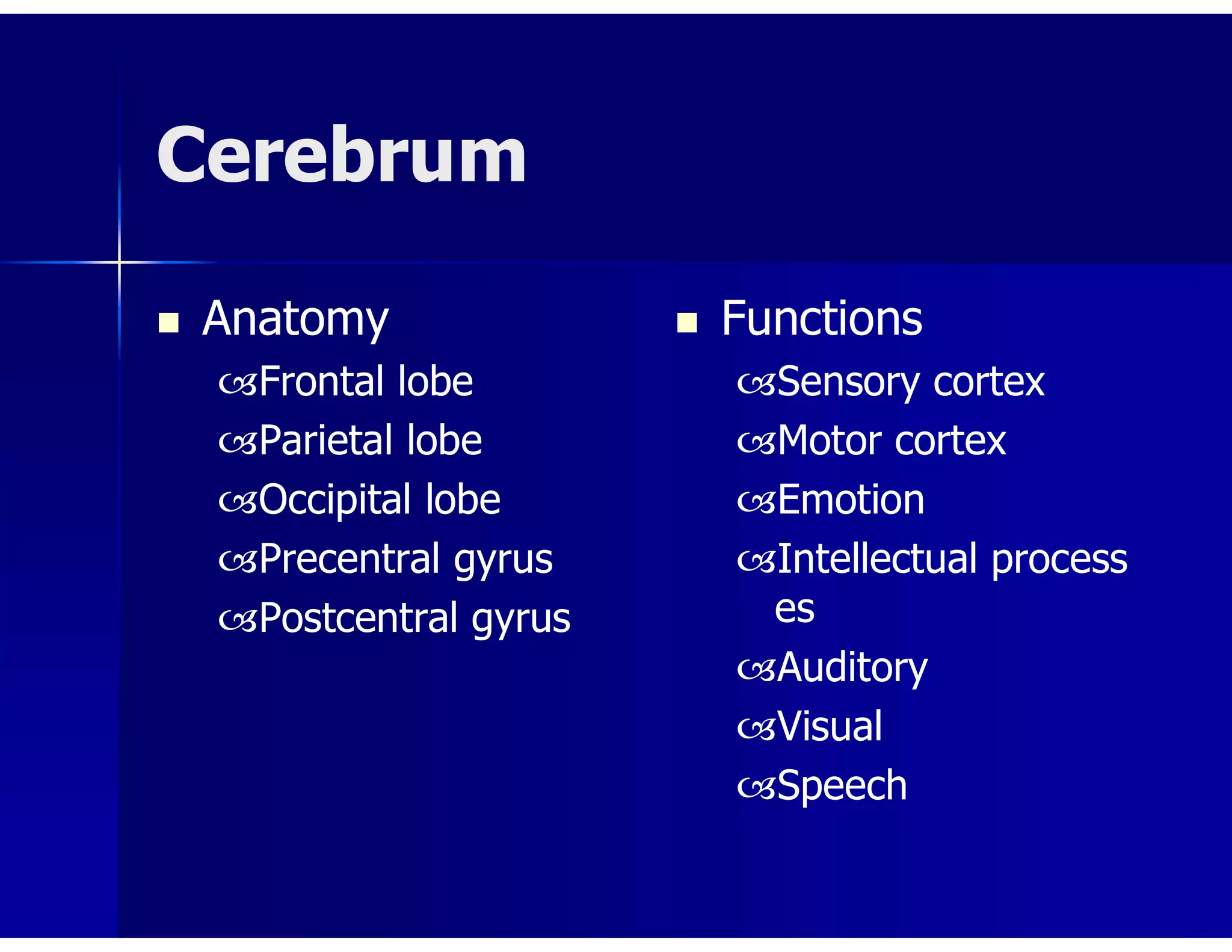Cerebrum
 Anatomy
Frontal lobe
Parietal lobe
Occipital lobe
Precentral gyrus
Postcentral gyrus
 Functions
Sensory cortex
Motor cortex
Emotion
Intellectual process
es
Auditory
Visual
Speech
 
