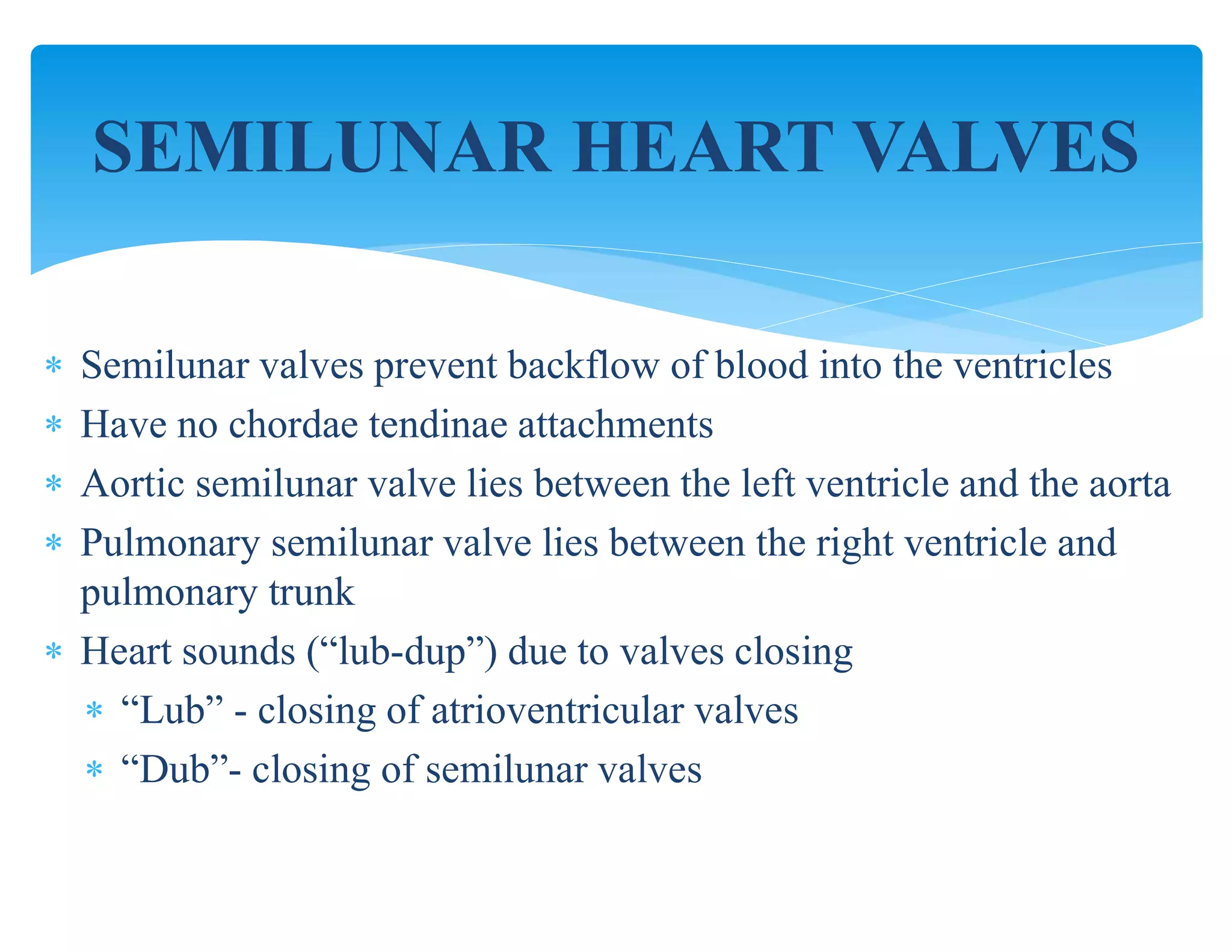  Semilunar valves prevent backflow of blood into the ventricles
 Have no chordae tendinae attachments
 Aortic semilunar valve lies between the left ventricle and the aorta
 Pulmonary semilunar valve lies between the right ventricle and
pulmonary trunk
 Heart sounds (“lub-dup”) due to valves closing
 “Lub” - closing of atrioventricular valves
 “Dub”- closing of semilunar valves
SEMILUNAR HEART VALVES
 