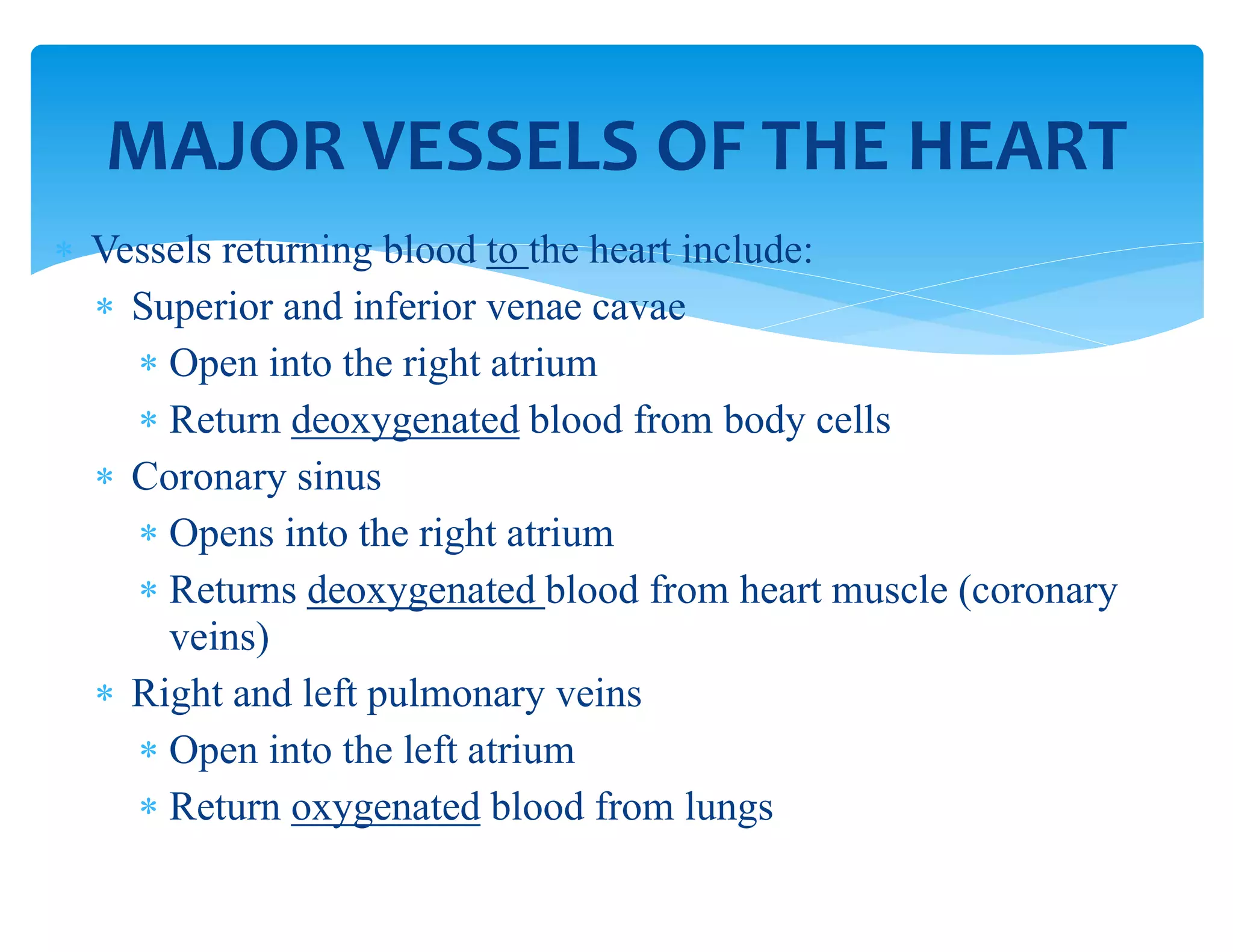  Vessels returning blood to the heart include:
 Superior and inferior venae cavae
 Open into the right atrium
 Return deoxygenated blood from body cells
 Coronary sinus
 Opens into the right atrium
 Returns deoxygenated blood from heart muscle (coronary
veins)
 Right and left pulmonary veins
 Open into the left atrium
 Return oxygenated blood from lungs
MAJOR VESSELS OF THE HEART
 