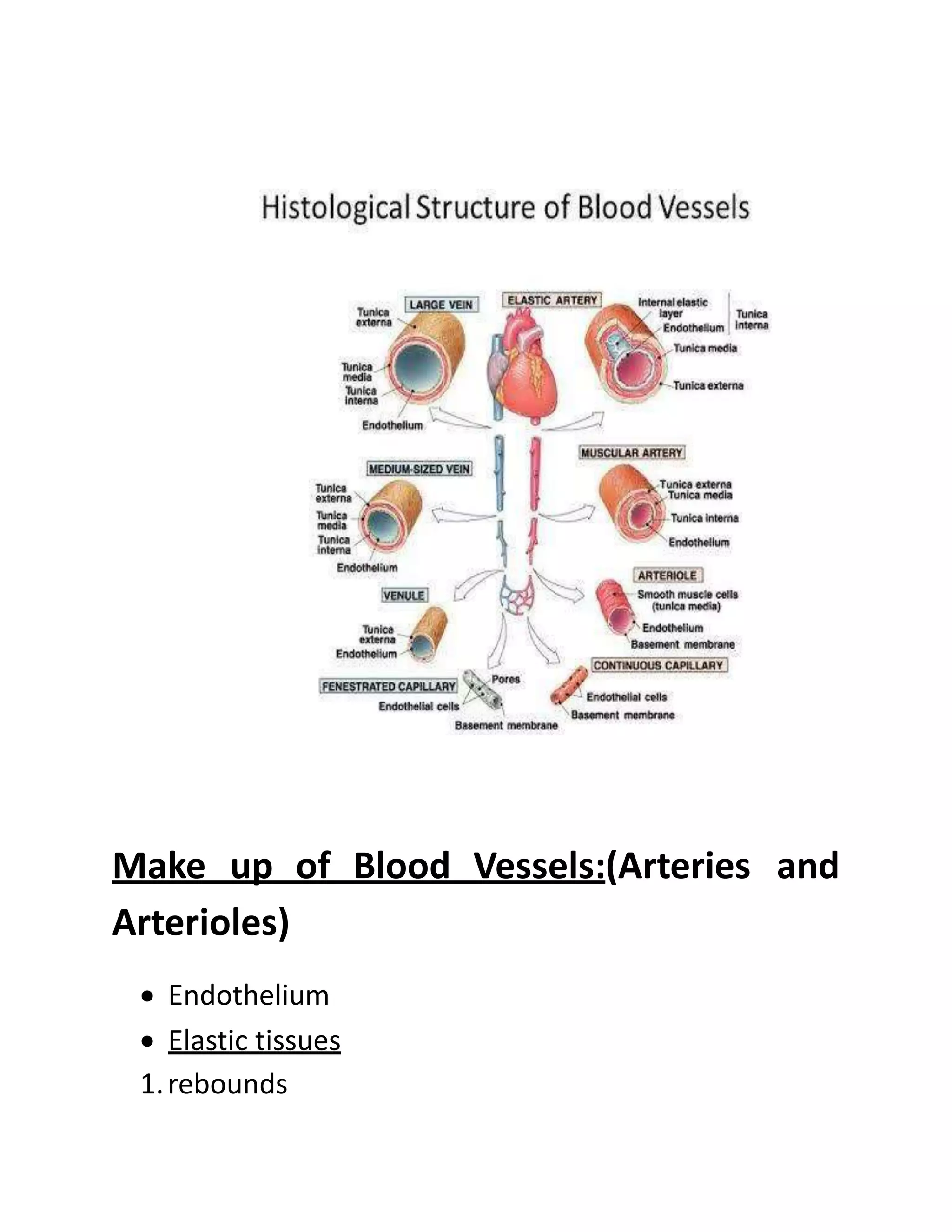 Make up of Blood Vessels:(Arteries and
Arterioles)
• Endothelium
• Elastic tissues
1.rebounds
 