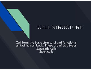 Human Anatomy Complete Notes | PDF