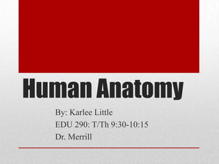 Human Anatomy,[object Object],By: Karlee Little,[object Object],EDU 290: T/Th 9:30-10:15,[object Object],Dr. Merrill,[object Object]