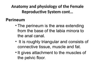 Pareunia Human anatomy and physiology (Reproductive System) | PPTX
