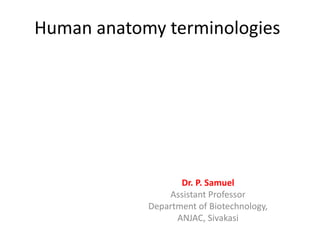Human anatomy terminologies
Dr. P. Samuel
Assistant Professor
Department of Biotechnology,
ANJAC, Sivakasi
 