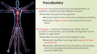 Vocabulary
 Anatomy- the study of structure and identification of
organism’s bodies and their different sections.
Identifies the parts of the organism.
Example: Roots, trunk, branches and leaves of plants.
Example: Organs, bones and parts of the human
body.
 Physiology- A branch of biology that deals with the
functions, mechanisms, and activities of organisms at the
cellular or organ level.
Identifies how the parts of the organism work.
Example: identifies how fungi cells respond to their
environment.
Example: differentiates how the elbow joint (hinged
joint) and shoulder joint (ball-and-socket joint)
operate differently.
 