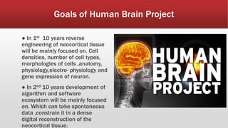 Goals of Human Brain Project
● In 1st 10 years reverse
engineering of neocortical tissue
will be mainly focused on. Cell
densities, number of cell types,
morphologies of cells ,anatomy,
physiology,electro- physiology and
gene expression of neuron.
● In 2nd 10 years development of
algorithm and software
ecosystem will be mainly focused
on. Which can take spontaneous
data ,constrain it in a dense
digital reconstruction of the
neocortical tissue.
 
