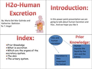H2o-Human Excretion Introduction: In this power point presentation we are going to talk about human Excretion and H2o.. And we hope you like it  By: Maria Del Mar Galindo and  Katherine Battiston  To: T. Angel Index: Prior  Knowledge: H2o and human excretion Prior Knowledge What is excretion Which are the organs of the excretory system. The skin The urinary system. Human expulse the liquid by the skin and the kidney Excretion Is Very Important for human 