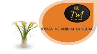 HUMAN VS ANIMAL LANGUAGE
 