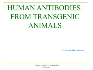 HUMAN ANTIBODIES
 FROM TRANSGENIC
     ANIMALS


                                  S. Kumarakurubaran,




     CENTRE FOR PLANT MOLECULAR
              BIOLOGY
 