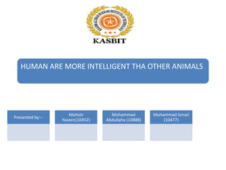HUMAN ARE MORE INTELLIGENT THA OTHER ANIMALS
Presented by:--
Mohsin
Yaseen(10452)
Muhammad
Abdullaha (10888)
Muhammad Ismail
(10477)
 