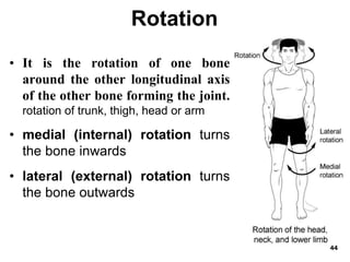 Human Arthrology874389835RUHDD7544F7.ppt