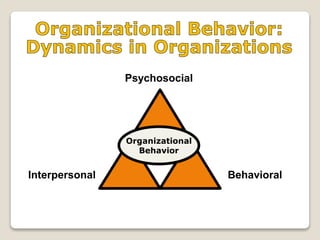 Psychosocial
BehavioralInterpersonal
Organizational
Behavior
 