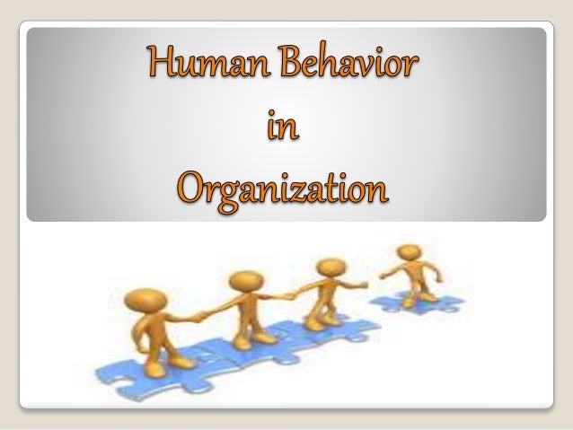 research paper on human behavior in organization