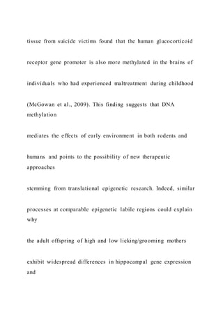tissue from suicide victims found that the human glucocorticoid
receptor gene promoter is also more methylated in the brains of
individuals who had experienced maltreatment during childhood
(McGowan et al., 2009). This finding suggests that DNA
methylation
mediates the effects of early environment in both rodents and
humans and points to the possibility of new therapeutic
approaches
stemming from translational epigenetic research. Indeed, similar
processes at comparable epigenetic labile regions could explain
why
the adult offspring of high and low licking/grooming mothers
exhibit widespread differences in hippocampal gene expression
and
 