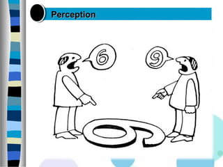 PerceptionPerception
 