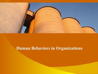 Human Behaviors in Organizations 