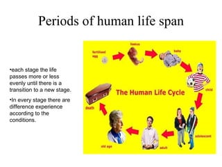 Periods of human life span each stage the life passes more or less evenly until there is a transition to a new stage.  In every stage there are difference experience according to the conditions. 