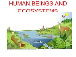 HUMAN BEINGS AND
ECOSYSTEMS
 