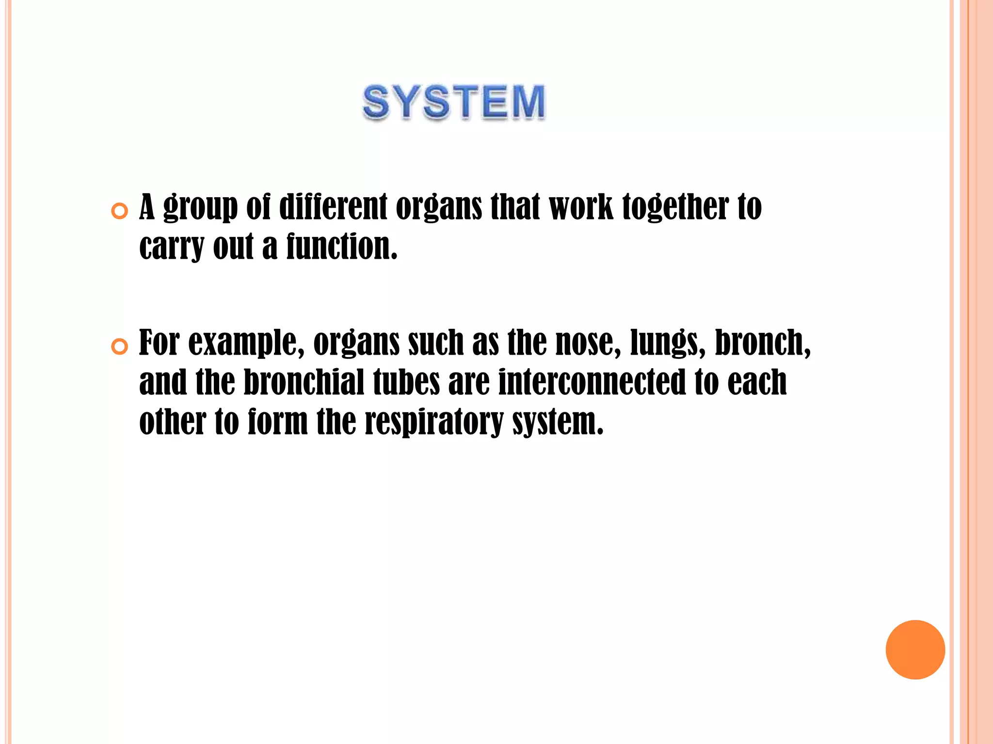  A group of different organs that work together to
carry out a function.
 For example, organs such as the nose, lungs, bronch,
and the bronchial tubes are interconnected to each
other to form the respiratory system.
 