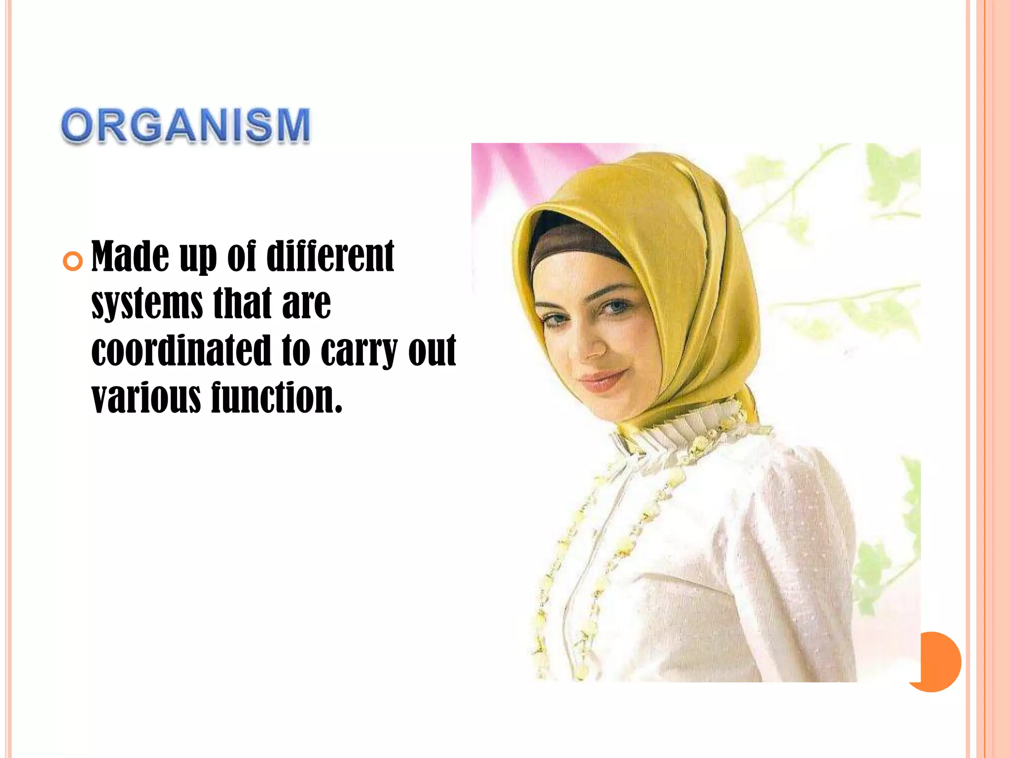  Made up of different
systems that are
coordinated to carry out
various function.
 