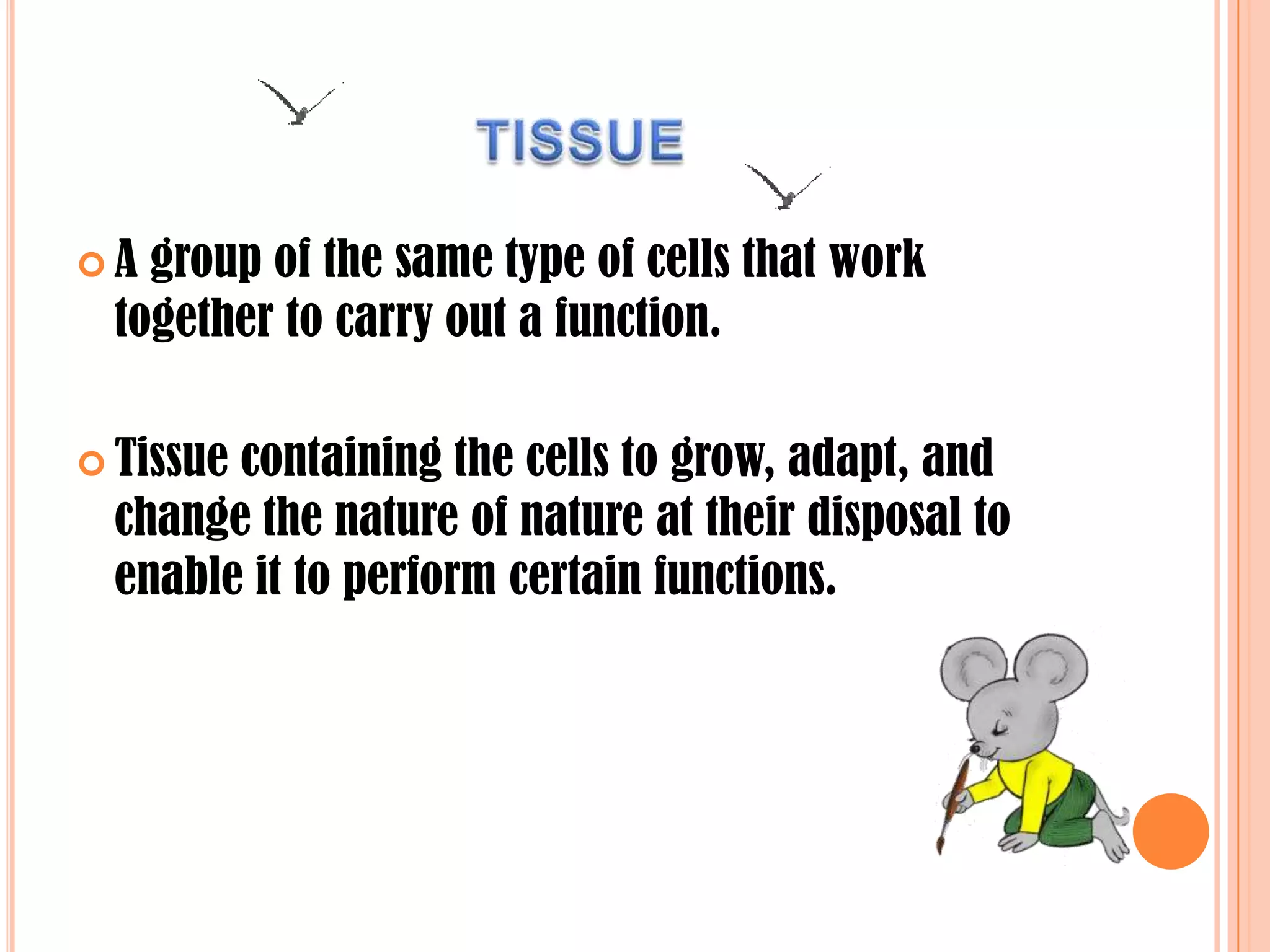  A group of the same type of cells that work
together to carry out a function.
 Tissue containing the cells to grow, adapt, and
change the nature of nature at their disposal to
enable it to perform certain functions.
 