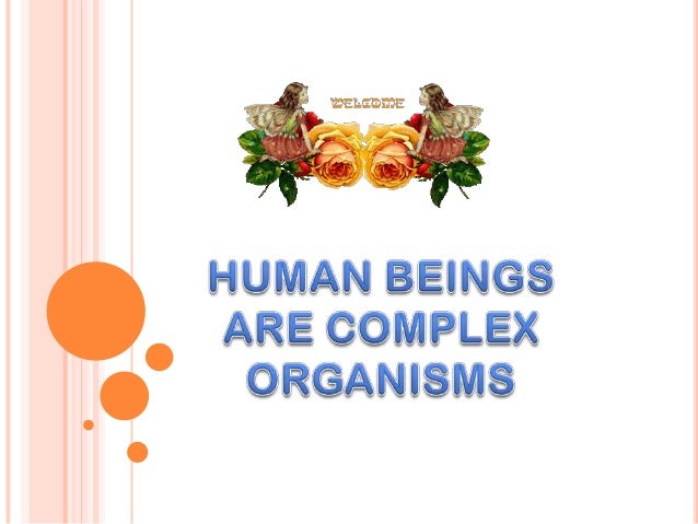 Human beings are complex organisms ppt