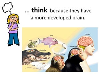 … think, because they have
a more developed brain.