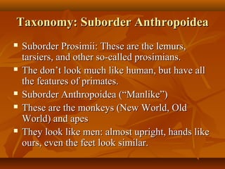 Taxonomy: Suborder Anthropoidea









Suborder Prosimii: These are the lemurs,
tarsiers, and other so-called prosimians.
The don’t look much like human, but have all
the features of primates.
Suborder Anthropoidea (“Manlike”)
These are the monkeys (New World, Old
World) and apes
They look like men: almost upright, hands like
ours, even the feet look similar.

 