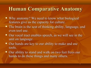 Human Comparative Anatomy










Why anatomy? We need to know what biological
features give us the capacity for culture.
The brain is the seat of thinking ability, language, and
even tool use.
Our vocal tract enables speech, as we will see in the
unit on language.
Our hands are key to our ability to make and use
tools.
Our ability to stand and walk on two feet frees our
hands to do these things and many others.

 